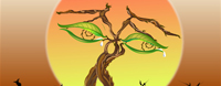 Crying Tree 13